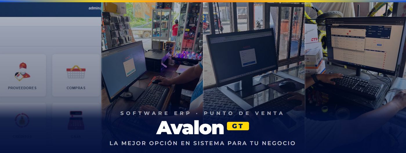 Avalon-ERP en negocios reales